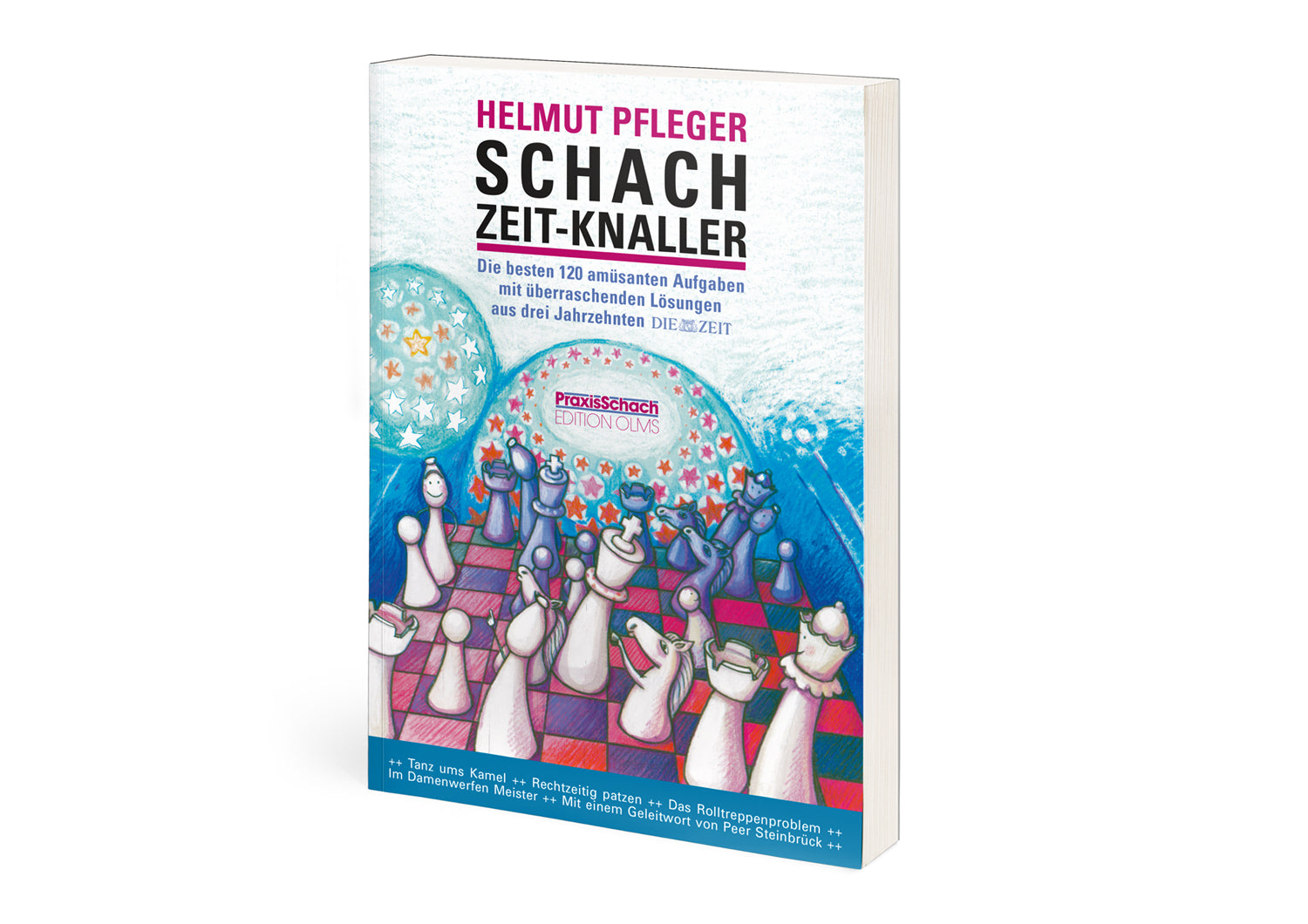 Pfleger: Chess time blast