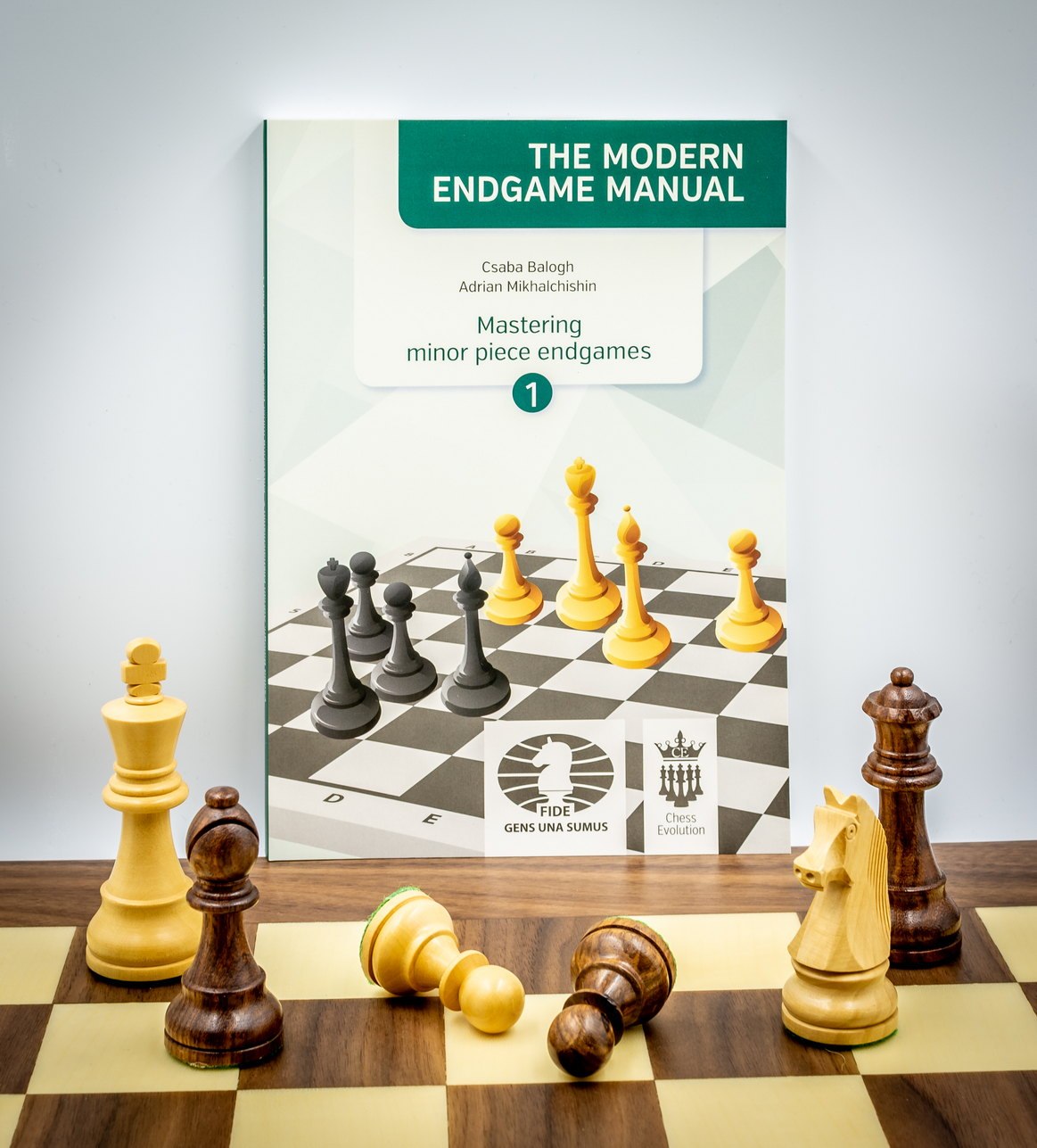 Balogh: Mastering minor piece endgames 1