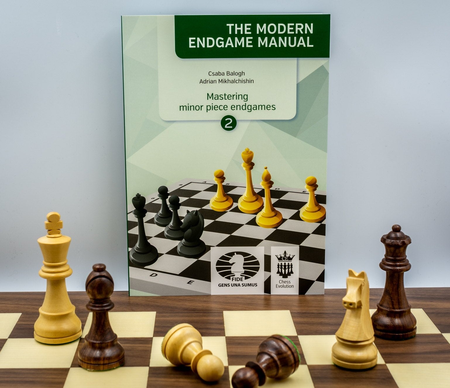 Balogh: Mastering minor piece endgames 2