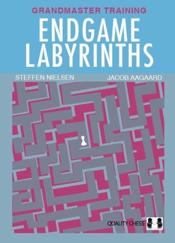 Steffen Nielsen : ENDGAME LABYRINTHS, kartoniert