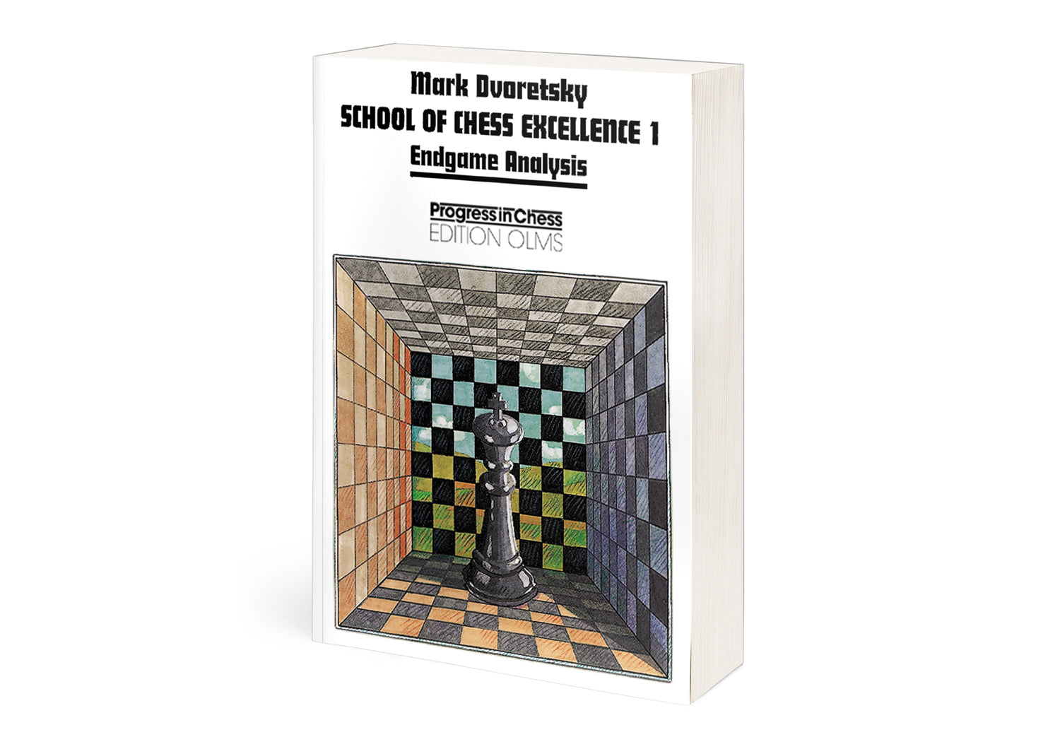 Dvoretsky: School of Chess Excellence 1 - Endgame Analysis