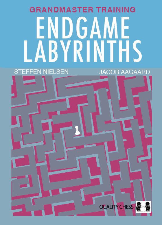 Aagaard/Nielsen,S.: Endgame Labyrinths (paperback)