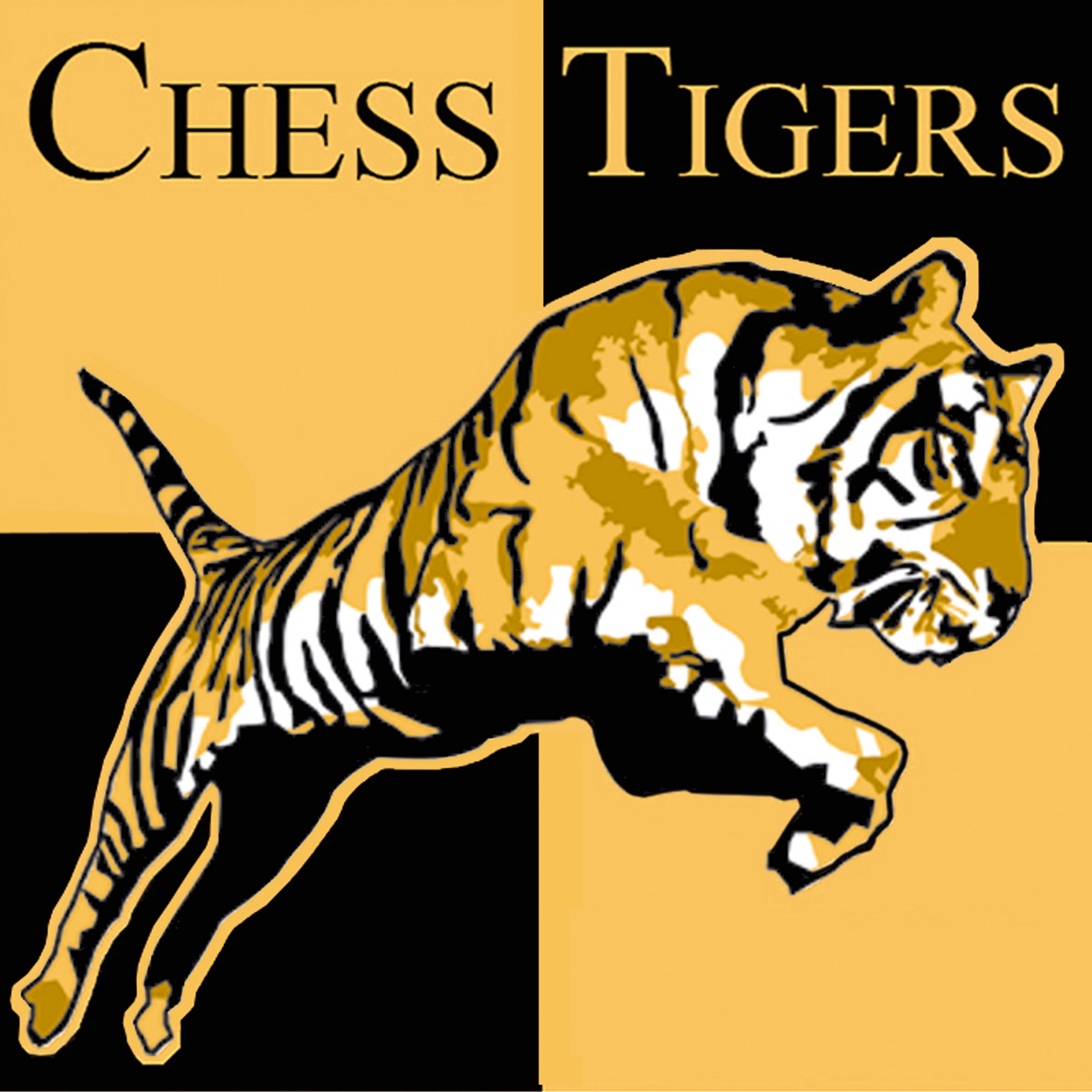 Chess Tigers Schachseminar