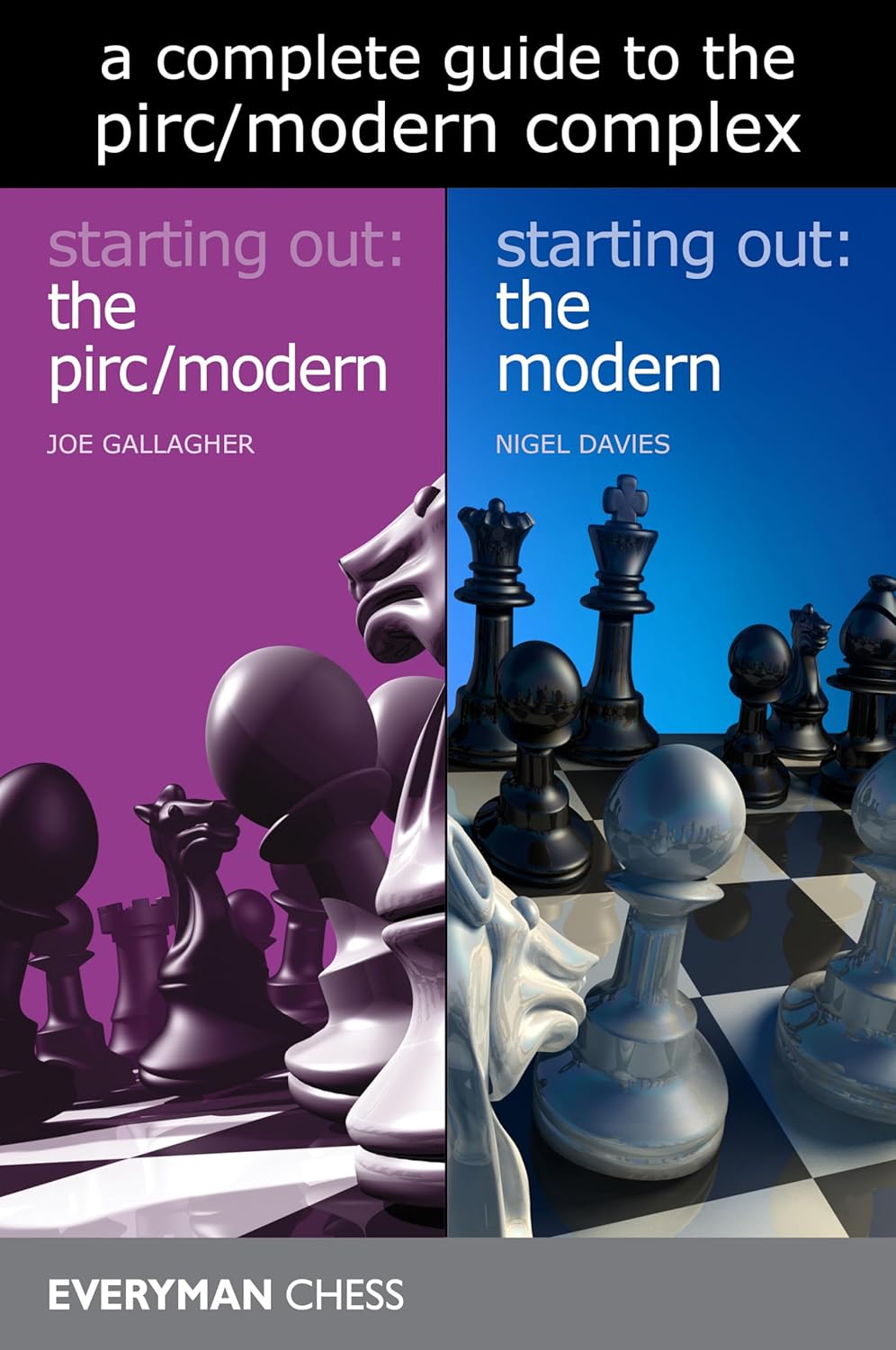 Joe Gallagher / Nigel Davies - a complete guide to the pirc/modern complex