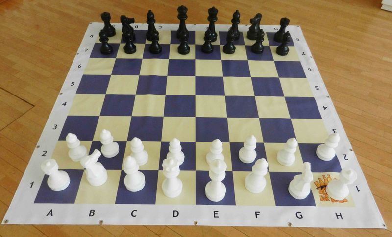 Schach für Kids - Freischachplane klein (1,5x1,5m)