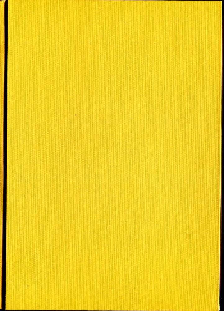 Estrin Grundzüge der Schacheröffnungen Band 1 (Antiquariat)