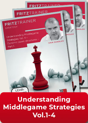 Understanding Middlegame Strategies Vol.1-4