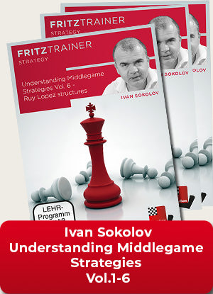 Understanding Middlegame Strategies Vol.1-6